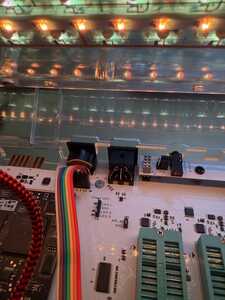 IMG 2564